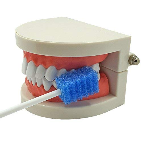 Oral Care Swabs Disposable- Blue 100 Counts
