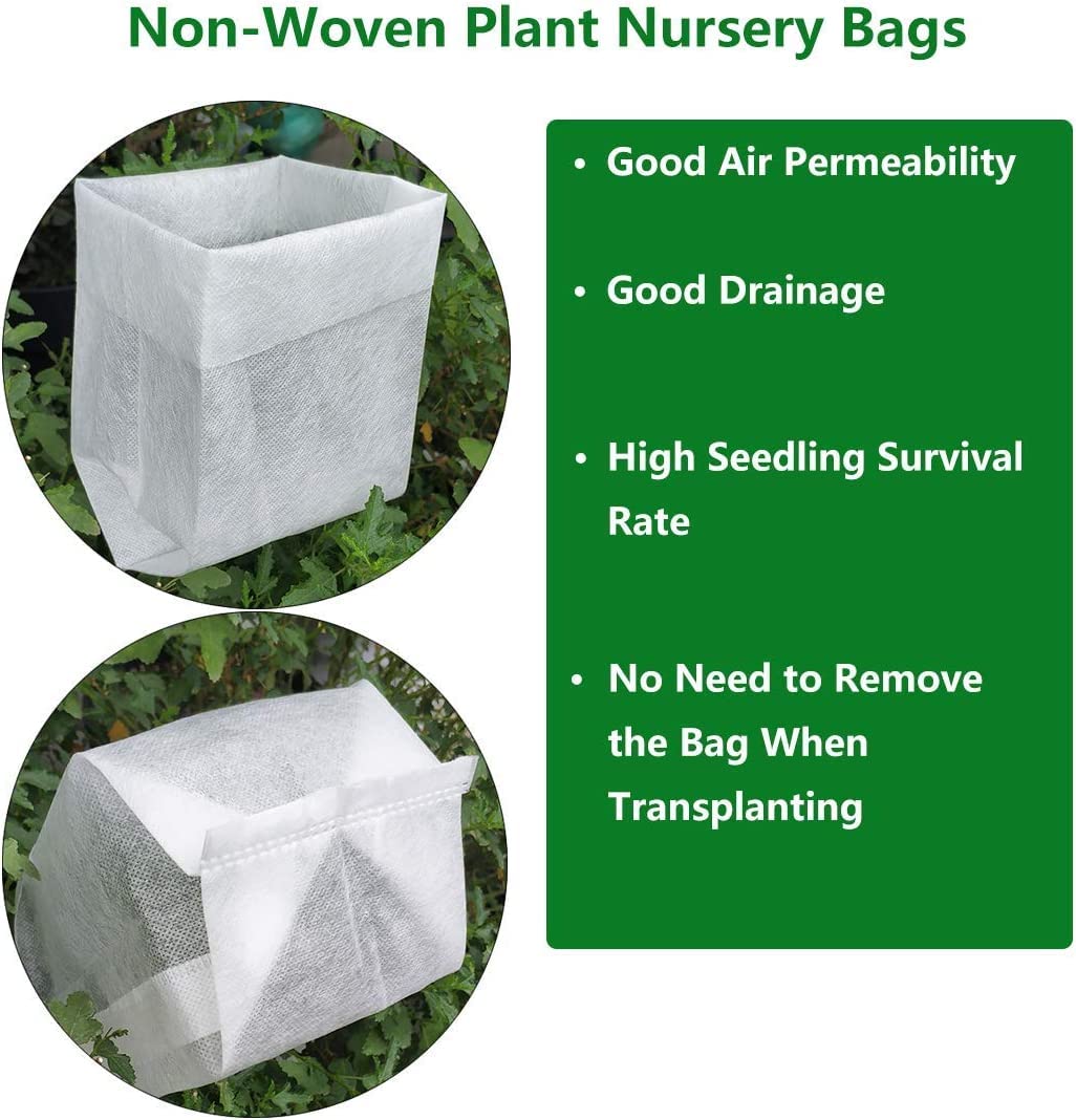 Petite Knock Out® Rose - Live Plant - (1 QT)