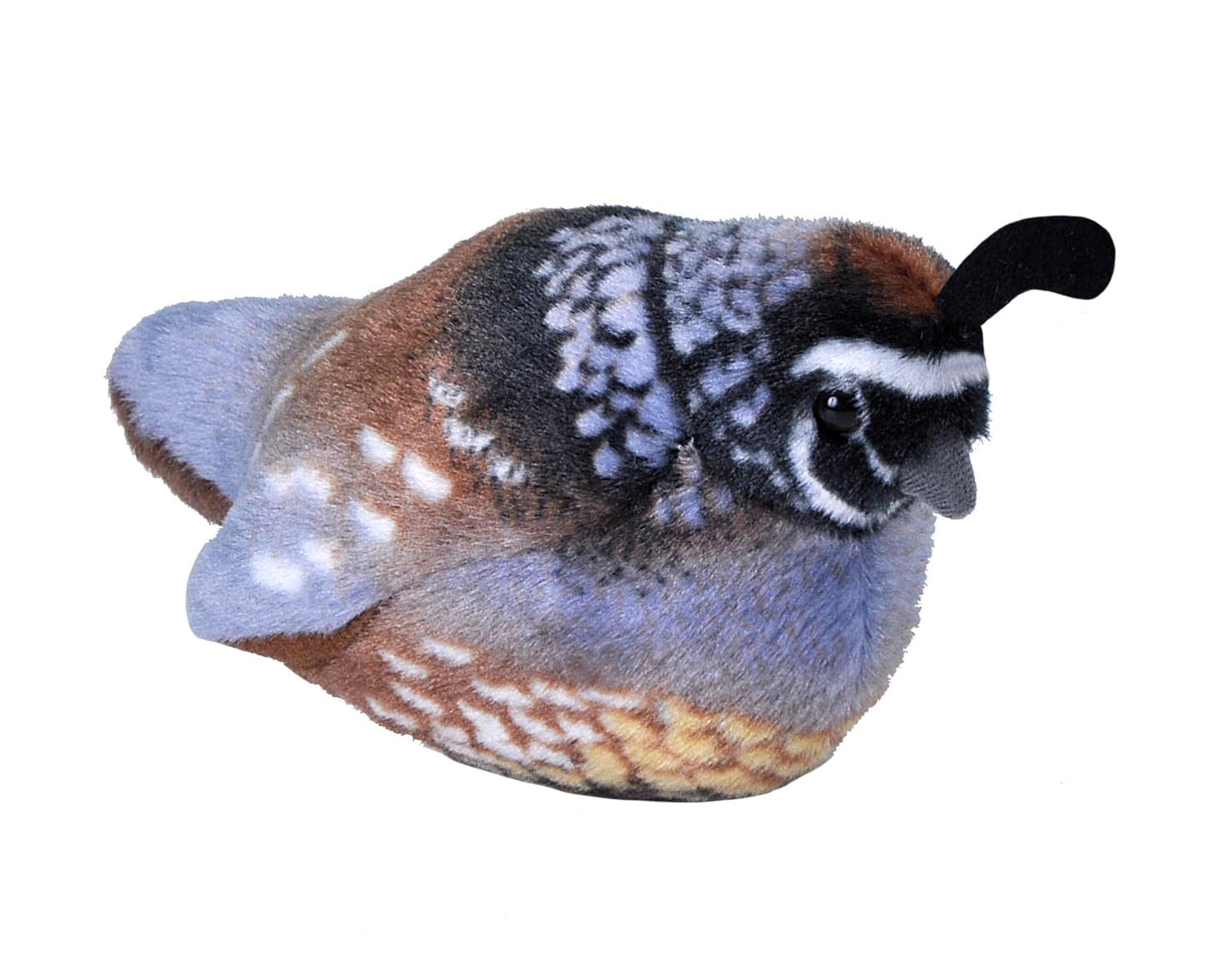 WILD REPUBLIC California Quail