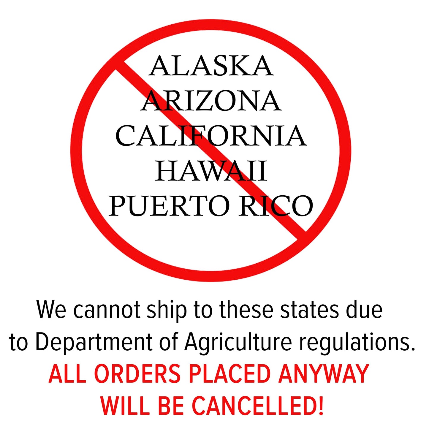 Weeping Willow, Deciduous, Fast-Growing, Shade Tree, 2-3 ft Tree Height, 1 gal Nursery Pot (Due to Agricultural Laws, we Cannot Ship to CA, AZ, AK, or HI), 2 Trees