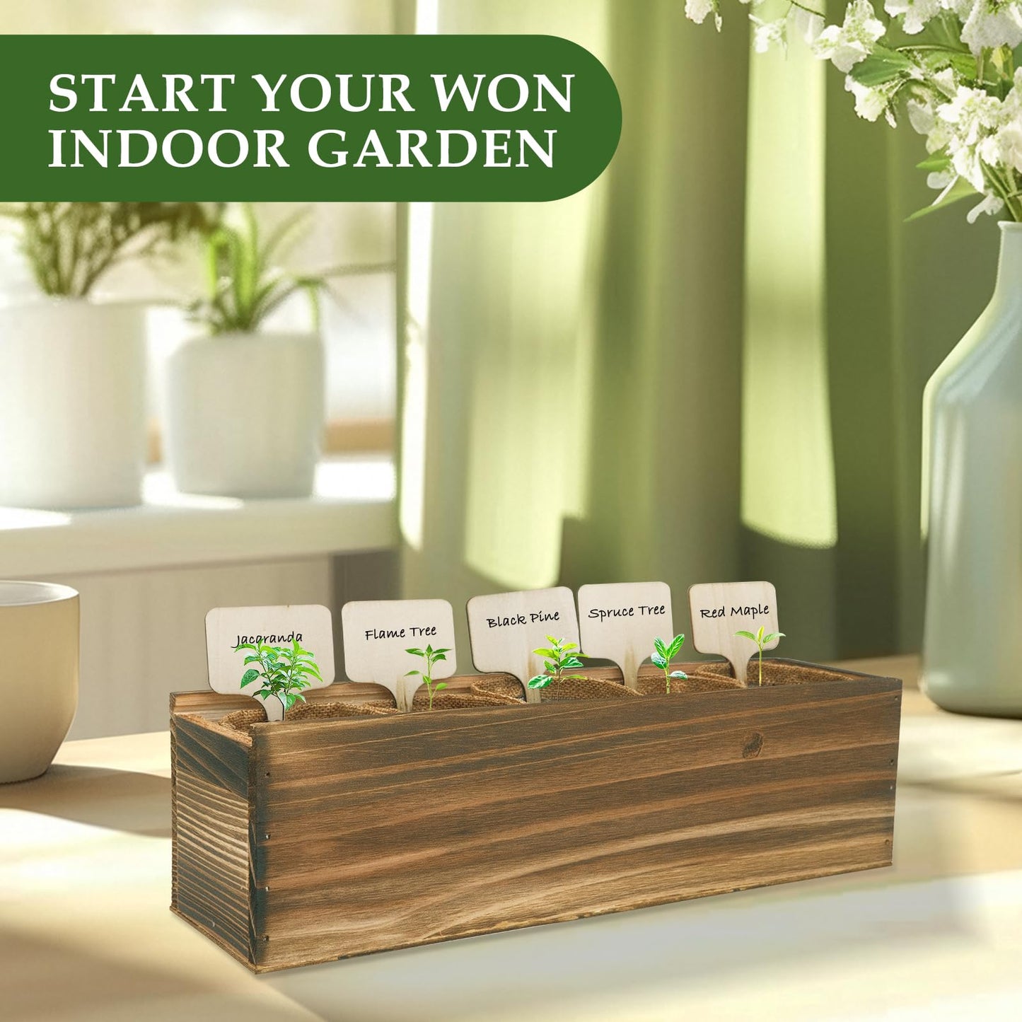 5 DIY Bonsai Tree Kit for Beginners, Complete Indoor Gardening Starter Kit with Seeds, Soils, Pots & Tools, Unique Birthday Gifts Ideas for Women, Men