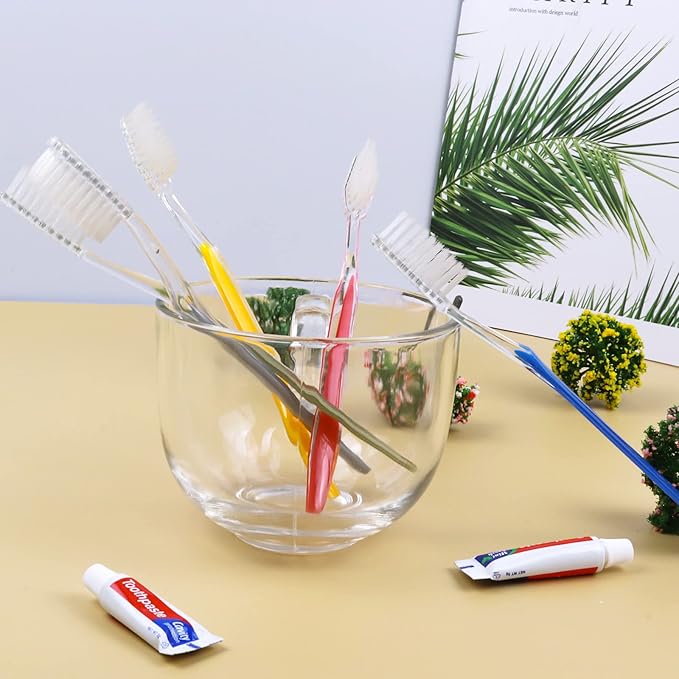 Disposable Toothbrushes with Toothpaste (5 Colors) (500)