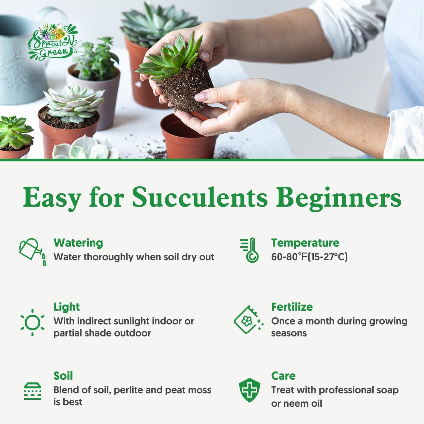 Sprout N Green Trailing Succulent Collection, 4 String Succulent Plant Fully Rooted in 2inch Starter Pot, Home Office Indoor Outdoor Wedding Decoration DIY Projects Party Favor
