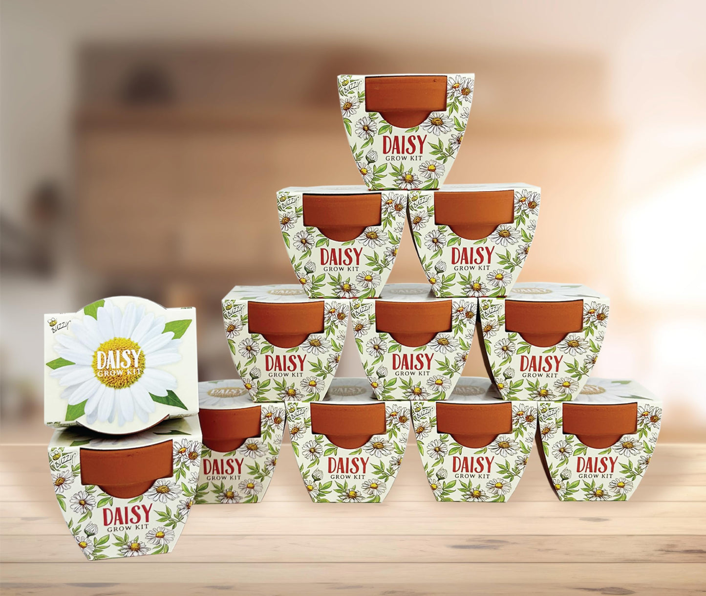 BUZZY Seeds Daydream Mini Terracotta Pots 12-Pack with Daisy Seed Packets – All-in-One Starter Set with Growing Medium and Easy Instructions, Gardening Gift, Wedding Favors, Corporate Gifting