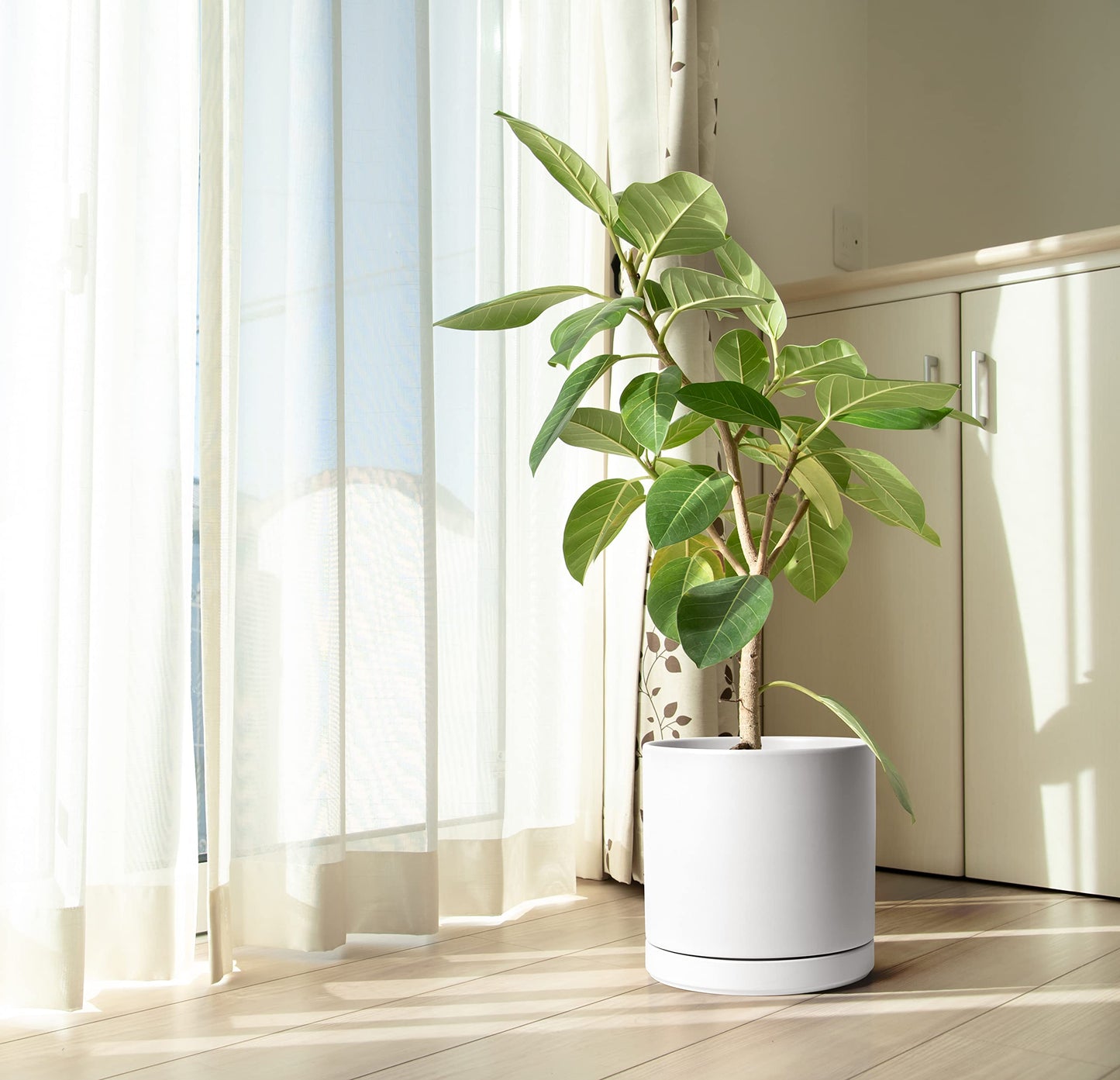 D'vine Dev 12 Inch Ceramic Planter Pot with Drainage Hole and Saucer, Indoor Cylinder Round Planter Pot, White, 94-O-F-1