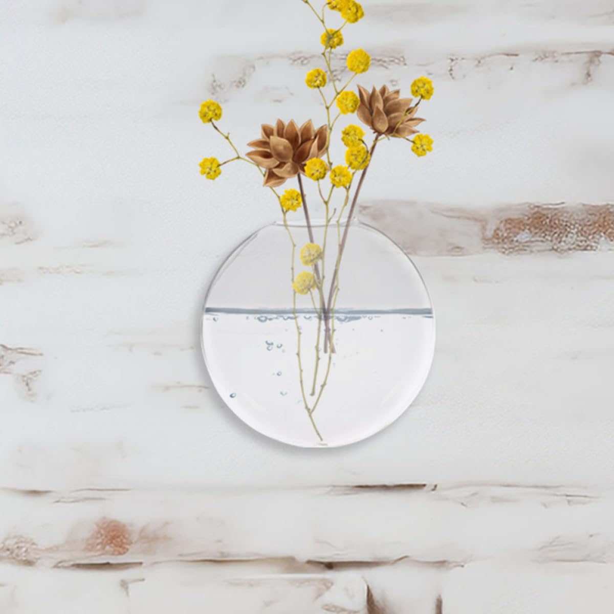 BESPORTBLE 2pcs Wall Mounted Glass Hydroponic Flower Vases, Flat Glass Terrarium Containers for Indoor Plant Propagation and Wall Décor