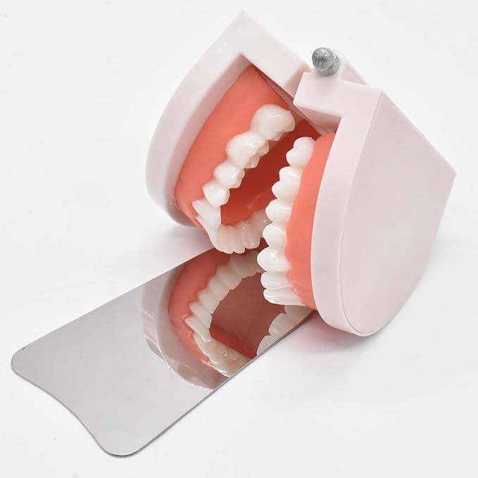Angzhili 1 Piece Dental Anti-Fog Photography Mirrors,2 Sided Fog Free Intraoral Photography Mirror,Stainless Steel Occlusal Mirror (L maxillofacial mirror)