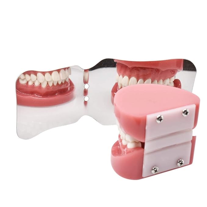 Angzhili 1 piece Dental Photography Mirrors Dental Orthodontic Mirror Stainless Steel Single Sided Photographic Occlusal Mirror,Bendable Dental Oral Mirror Intra-Oral Reflector(A type)