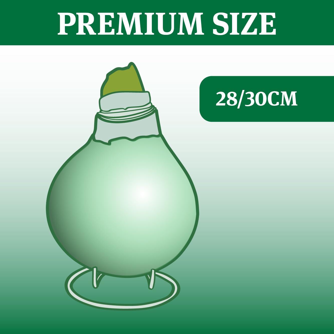 Purple Base Waxed Amaryllis Flower Bulb with Stand, No Water Needed, Real Live Spring Flowers
