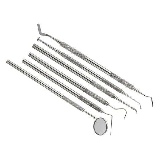Dental Tools, 6 Pack Upgraded Teeth Cleaning Tools Stainless Steel Dental Scaler Pick Tools Set Plaque Remover Kit PR-348