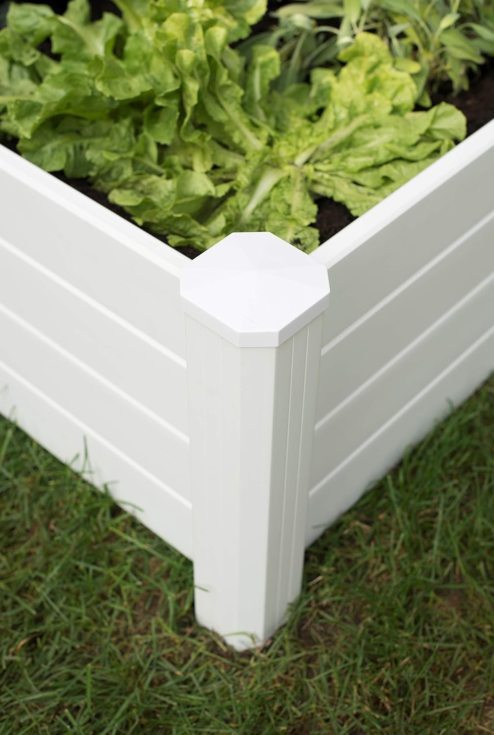 NuVue Products 26001 Premium Outdoor Raised Garden Bed for Growing Edible Plants and Flowers, BPA-Free Woodgrain Panel Elevated Planter Box, 48” L x 48” W x 15” H, White