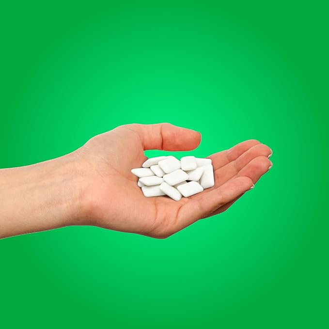 PUR Gum | Aspartame Free Chewing Gum | 100% Xylitol | Natural Spearmint Flavored Gum, 55 Pieces (Pack of 1)
