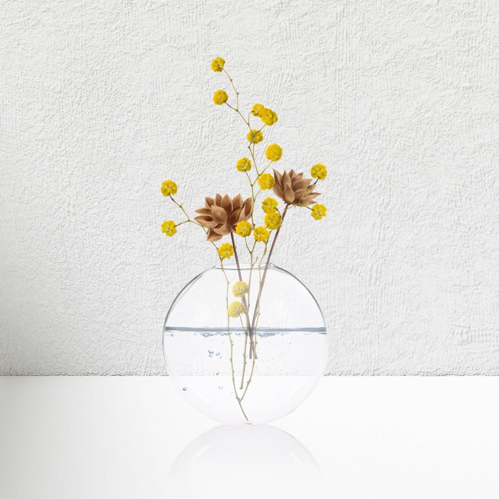 Luxshiny 4pcs Wall Mounted Hydroponic Glass for Indoor Plant Decor Hanging Terrarium for Home Office and Garden -Saving Design for Easy Plant Propagation