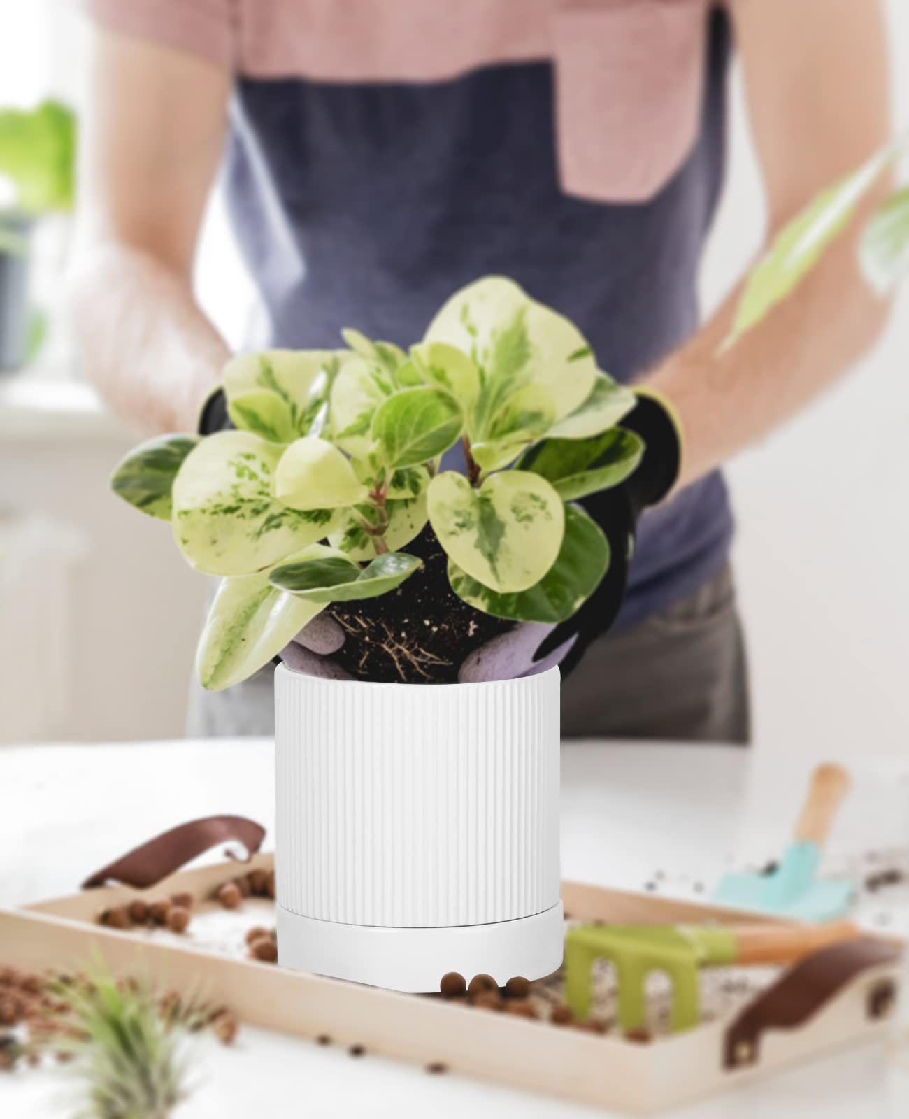 LaDoVita 3 Pack Ceramic Plant Pots 6/5/4 inch, Flowerpot for Indoor Plants with Drainage Holes and Tray, Outdoor Garden Planters, Modern Decorative for Home, White Vertical Stripes