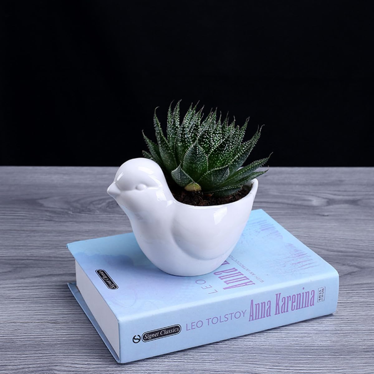 Holibanna Ceramic Succulent Plant Pot Bird Shape Saucer Small White Flower Pot Indoor Desktop Planter Decorative Container for Home Gardening