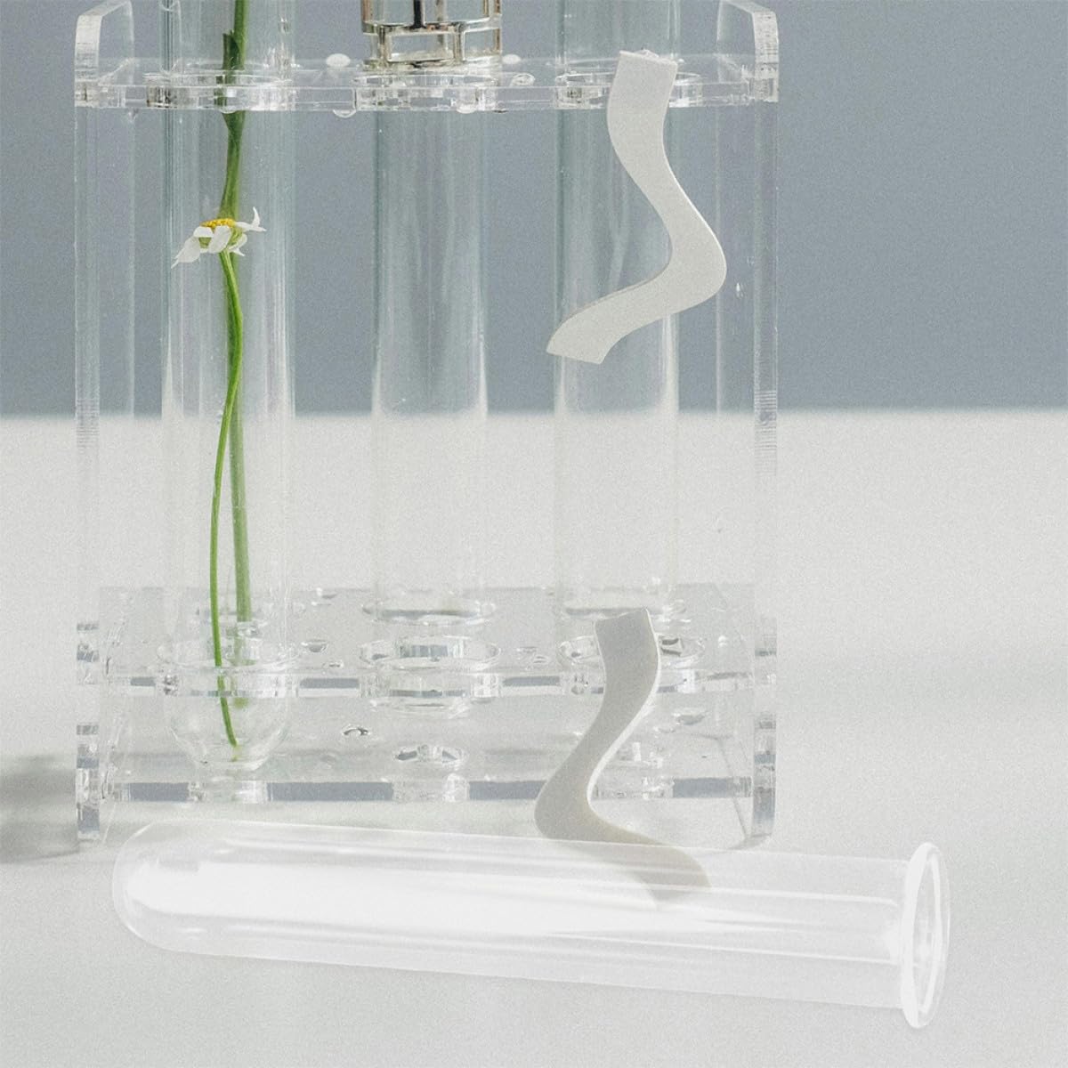 COOLHIYA 4Pcs Glass Test Tube Vases 2.5X18Cm Hydroponic Plant Holder Decorative Desktop Glass Planter Vase for Propagation and Small Terrariums