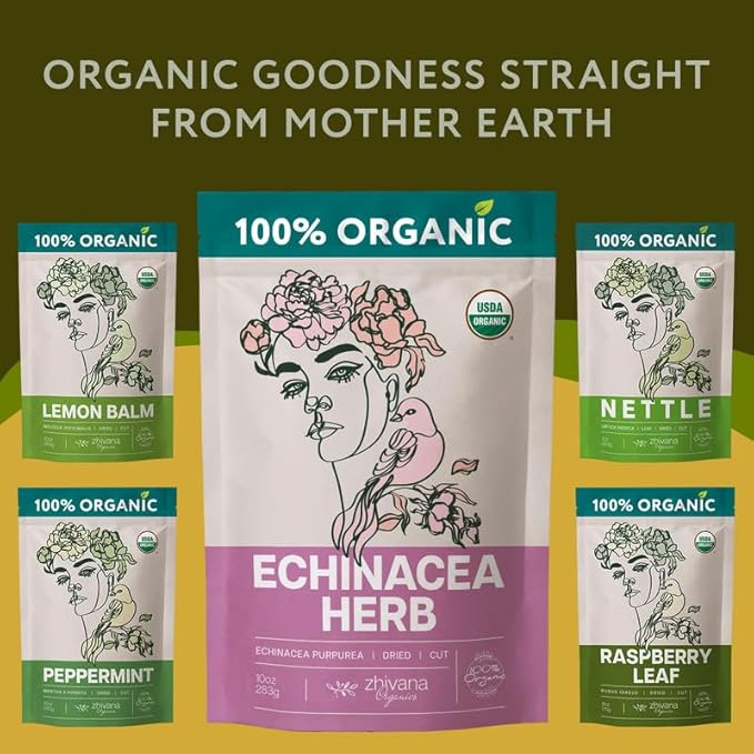 Echinacea Tea Loose Leaf (4 oz.) - Organic Echinacea Herb - Equinacea Organica - Great for Seasonal Changes - Supports Faster Recovery