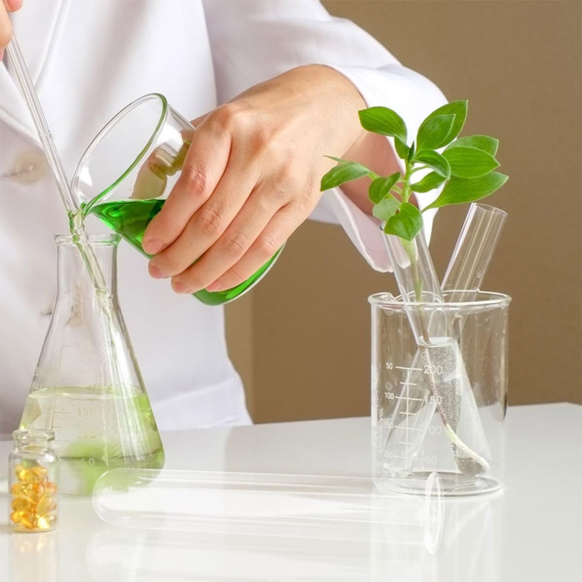 Garneck 6pcs Glass Test Tube Flower Vases Hydroponic Propagation Tubes Glass Plant Containers 2.5x3x15cm for Home and Office Décor