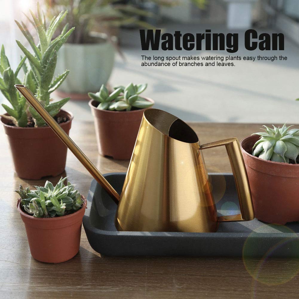 Fdit Stainless Steel Watering Can with Long Spout Steel Plant Waterer Watering Pot Sprinkle Pot Garden Flowers Plants Flower Tool(1500ml)