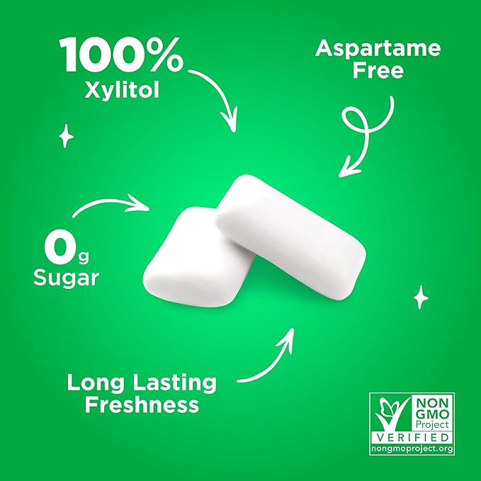 PUR Gum | Aspartame Free Chewing Gum | 100% Xylitol | Natural Spearmint Flavored Gum, 55 Pieces (Pack of 12)
