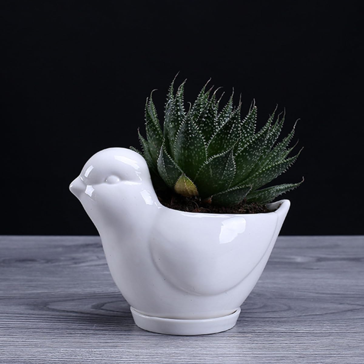 BESPORTBLE White Ceramic Bird Shape Flower Pot for Indoor Plants Cute Succulent Planter with Drainage Saucer Small Desktop Decor for Home Office Garden and Creative Design