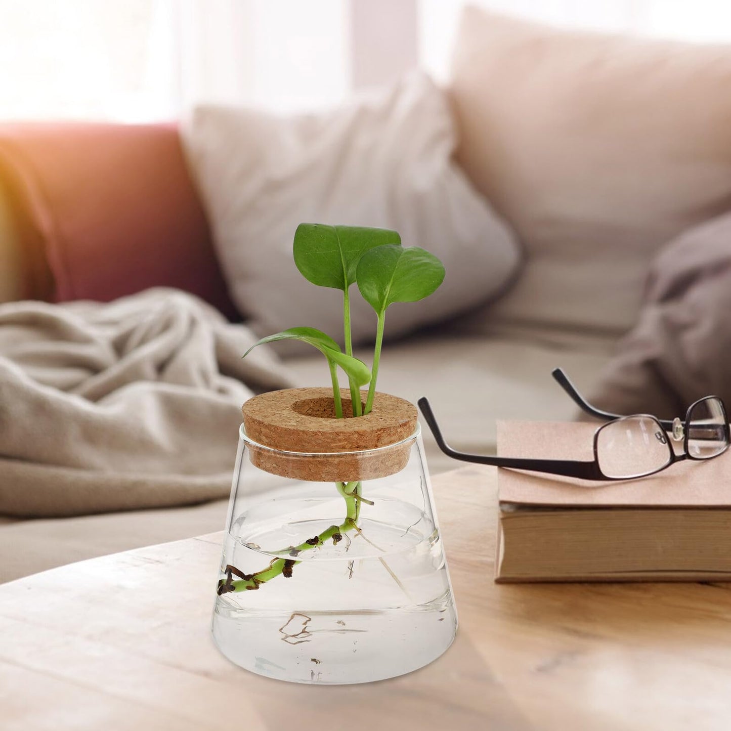 Healvian 2pcs Hydroponic Glass Plant Containers with Cork Lids 400ml Small Desktop Terrarium Vessels for Home and Office Garden Decoration