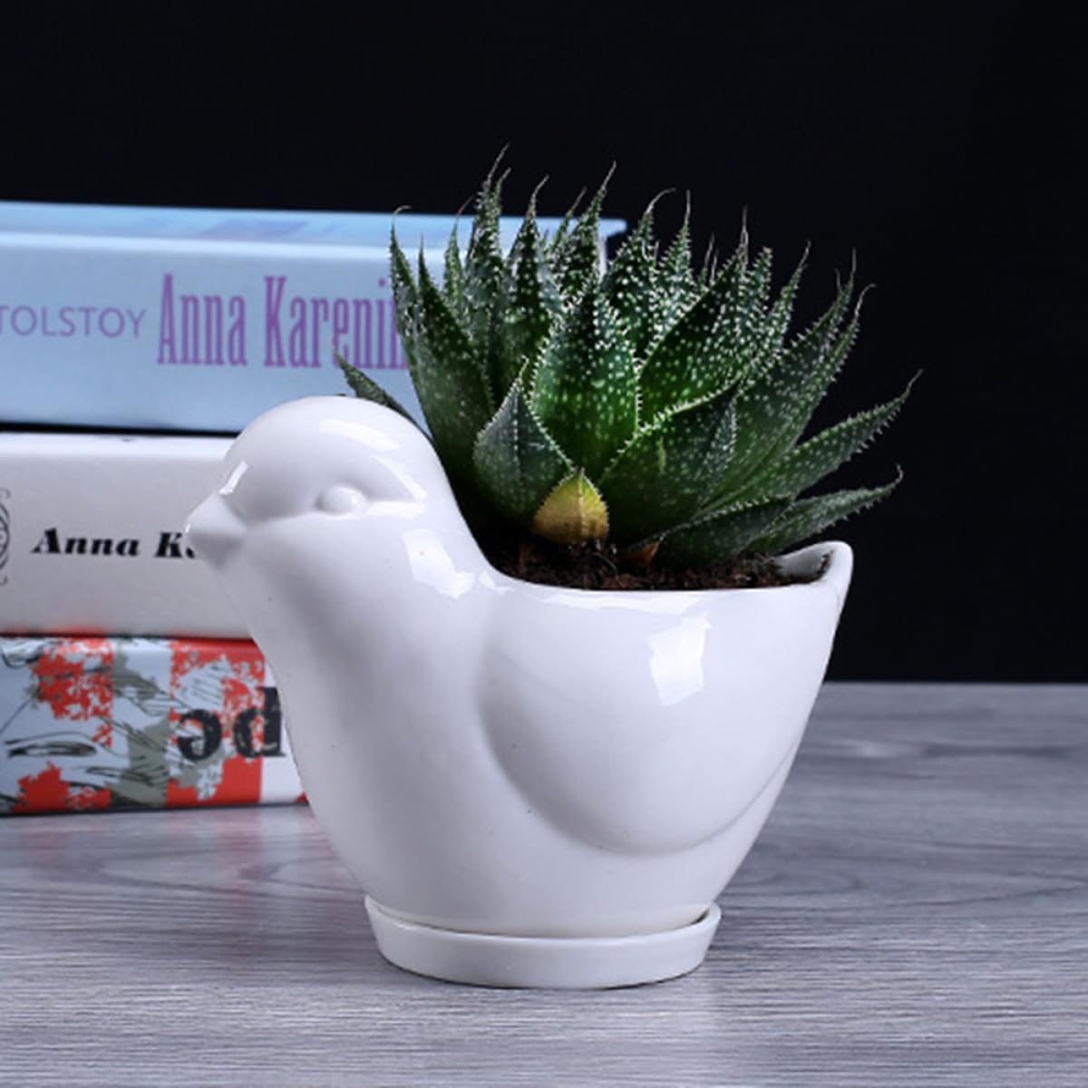 Yardenfun Ceramic Bird Shape Succulent Plant Pot Saucer Small White Flower Planter for Indoor Desktop Decor Home Gardening
