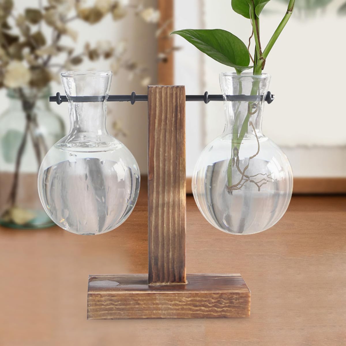 MAGICLULU 3pcs Glass Propagation Vases with Wooden Stand High Borosilicate Hydroponic Plant Planter for Desktop Indoor Terrarium and Plant Propagation