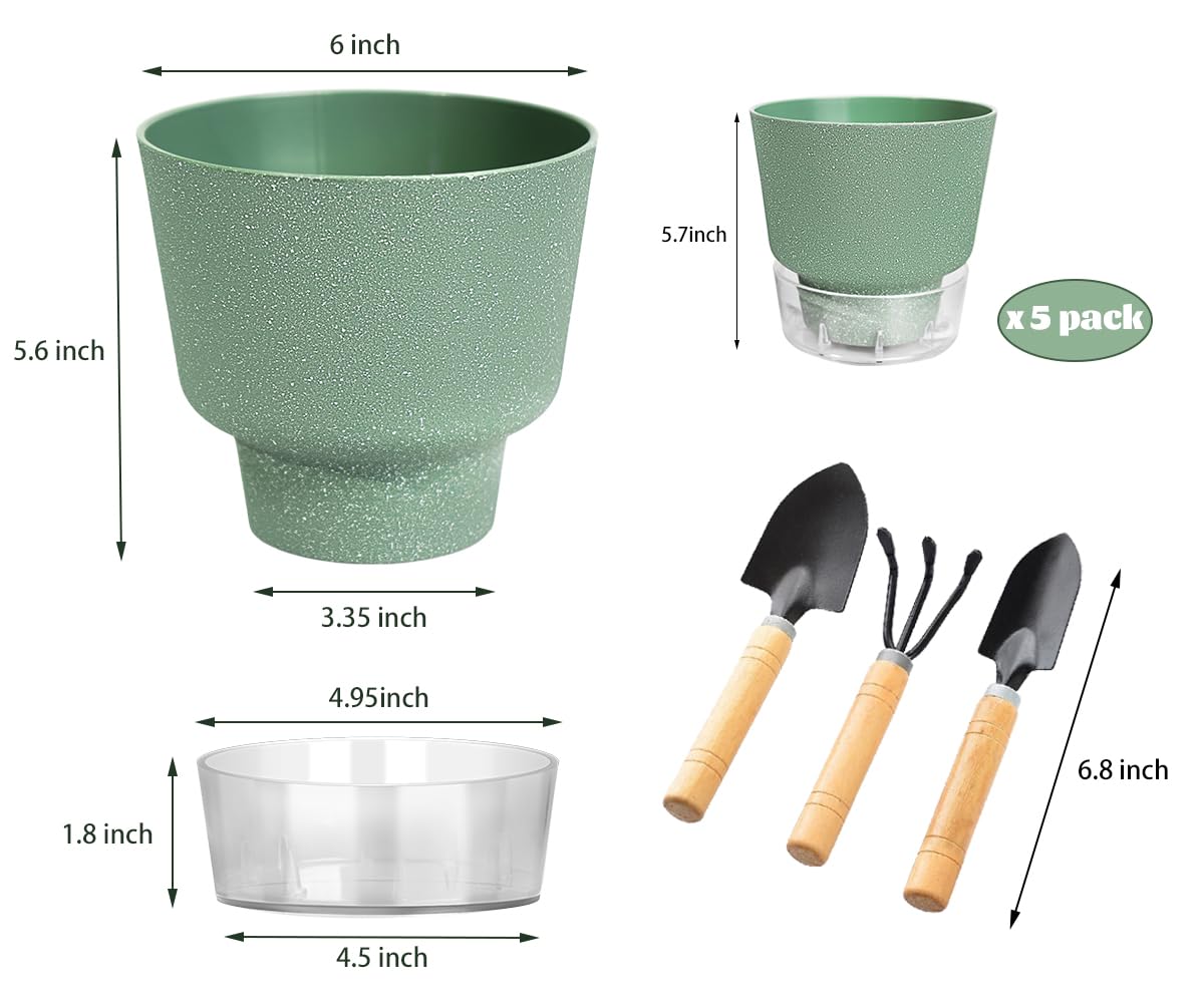 HYNZ Green Self Watering Plant Pots - 6" Planters for Indoor Plants - Pack of 5 Flower Pots - Plant Pots with Drainage Hole and Tray Saucer (Frosted Dark Green)