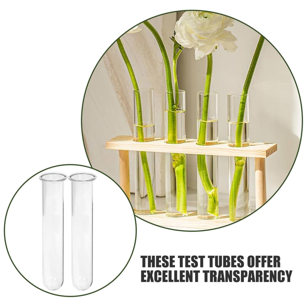 ARTSEWPLY 4Pcs Glass Test Tube Vases for Plant Propagation Hydroponic Glass Planter Decorative Terrarium Flower Holder for Home Office Desk Display