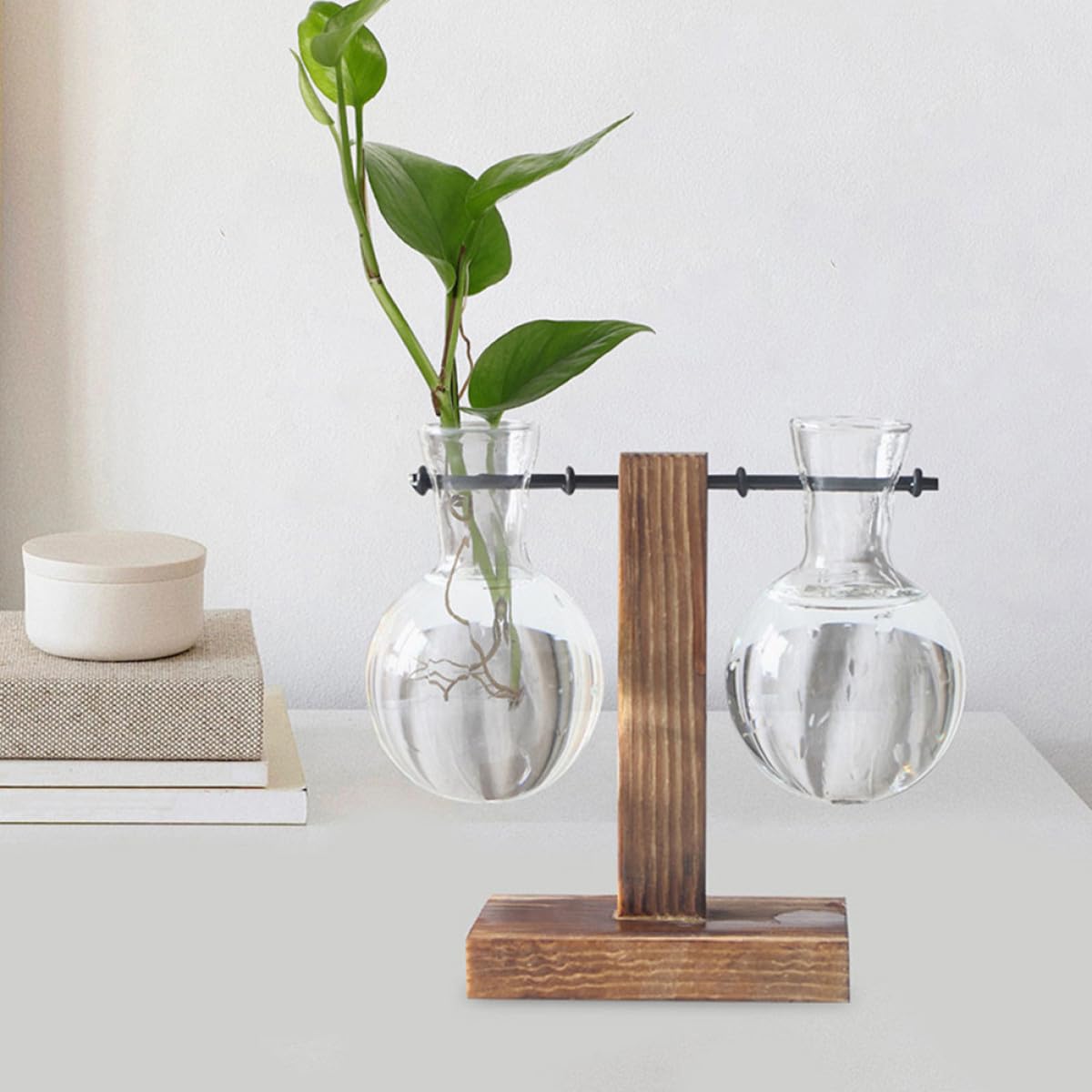 OSOLADY 3Pcs Hydroponic Glass Vase Set with Wooden Stand, High Borosilicate Glass Propagation Planter Jars for Desktop Terrarium and Plant Display