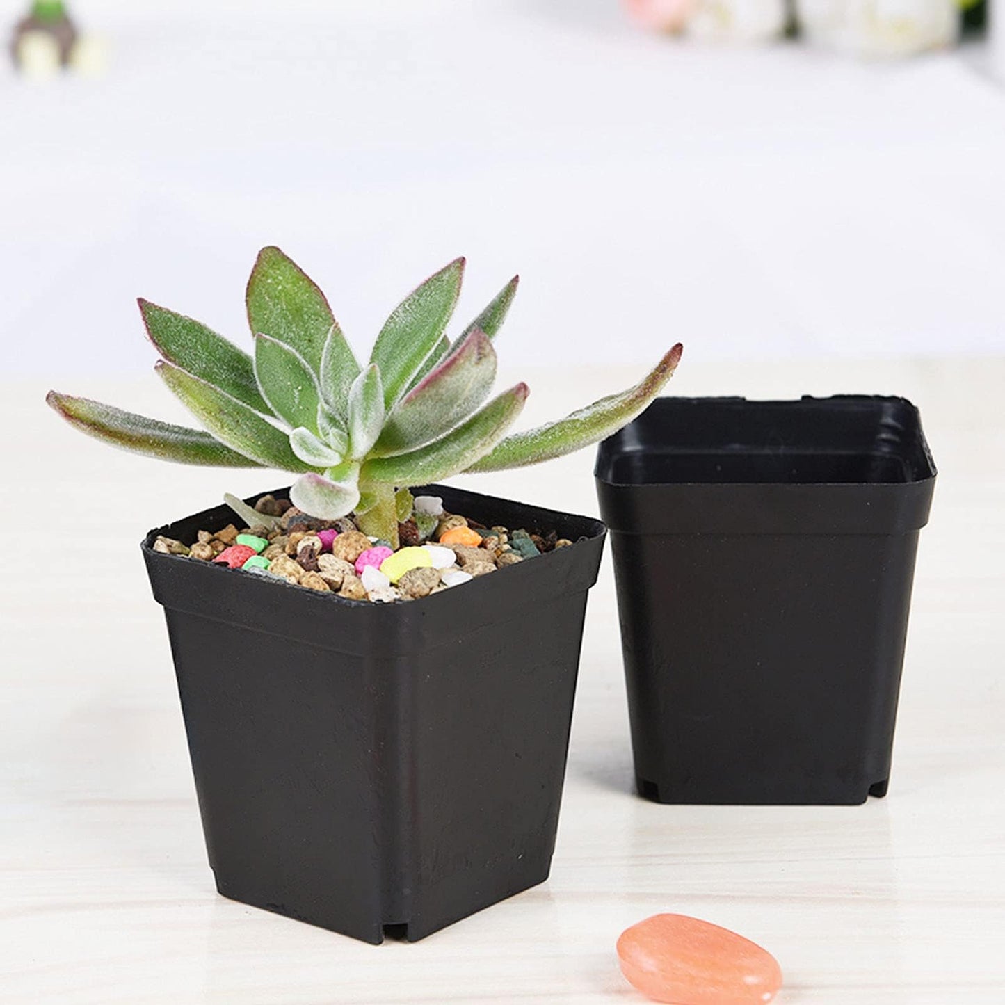 HOIGON 100 Pack 3 Inch Black Square Nursery Pot, Durable Thickened Plastic Nursery Pots with Drain Holes, Small Square Planting Containers for Flower Tomatoes Basil