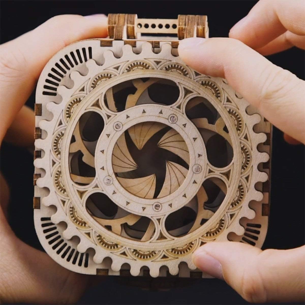 ROKR 3D Wooden Puzzle Mechanical Treasure Box Model DIY Brain Teaser Projects for Adult Age 14+ Birthday Gift Educational Toys Wooden Puzzles for Adults