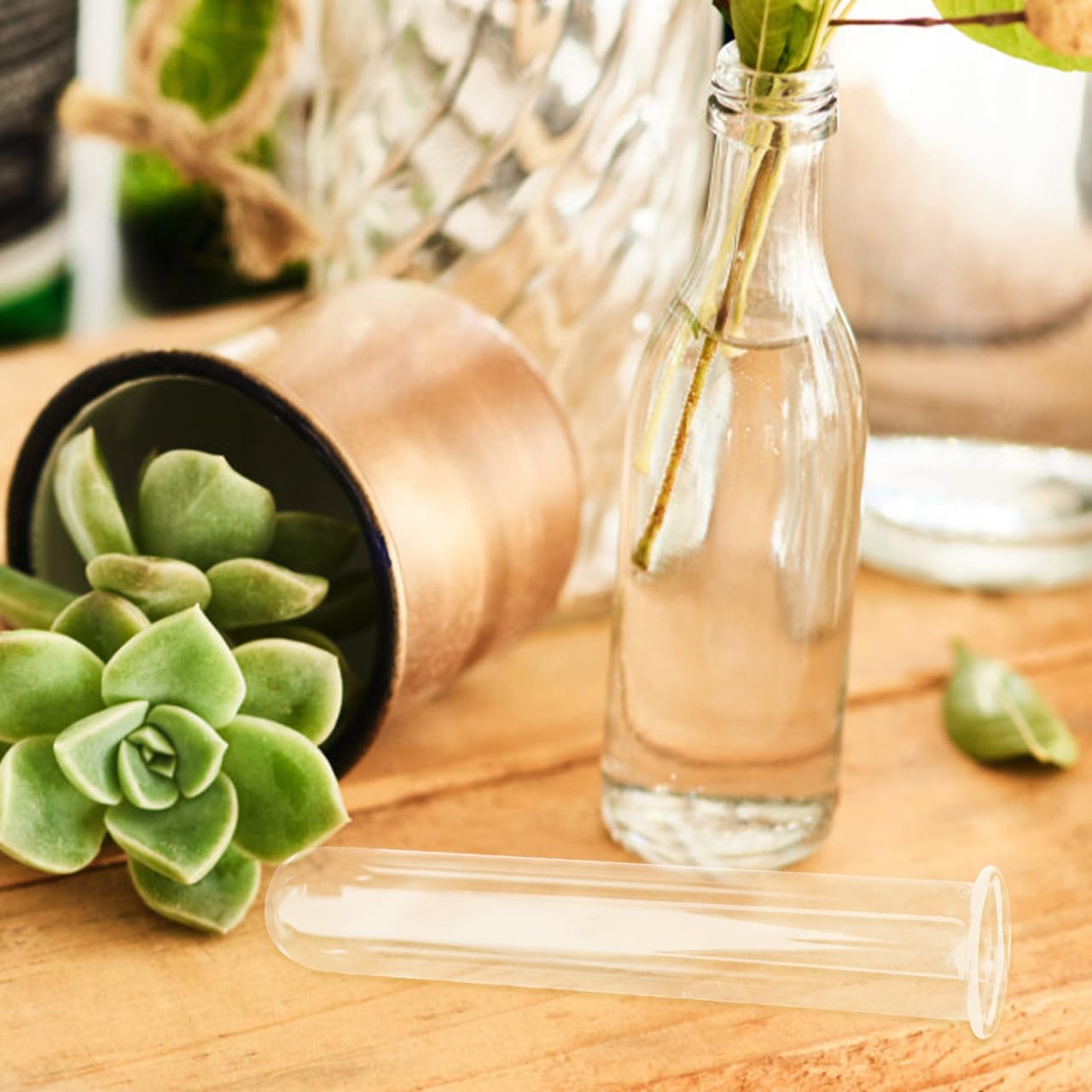 FUNOMOCYA 4pcs Clear Test Tubes for Cutting Plant Glass Propagation Tubes for Hydroponic Plants, Flowers, Home Office Wall Decor