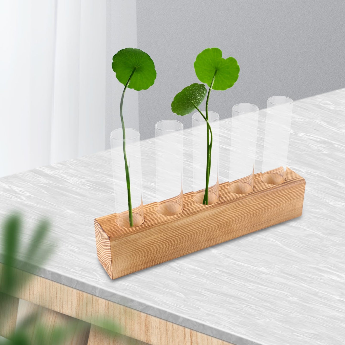 Garneck Glass Planter Hydroponic Vase with 5-Hole Wooden Stand, Indoor Terrarium Plant Propagation Station for Home Office Décor, Tabletop Glass Vase for Air Plants and Live Houseplants