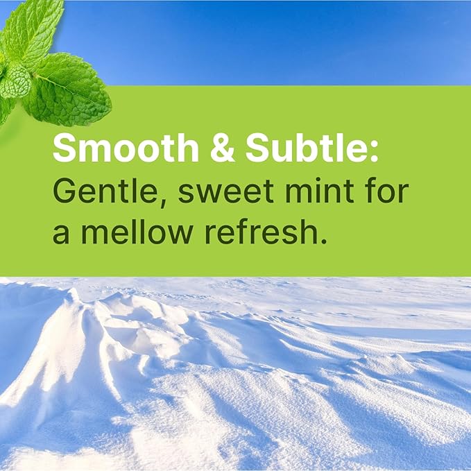 Spearmint KETO Xylitol Candy Chips - SNØ 1LB Bag - Sugar-Free Candy With Only 2 Ingredients | Low Carbs, Diabetic-Friendly, Non-GMO, Vegan, GF & Kosher | Purest candy in the world!