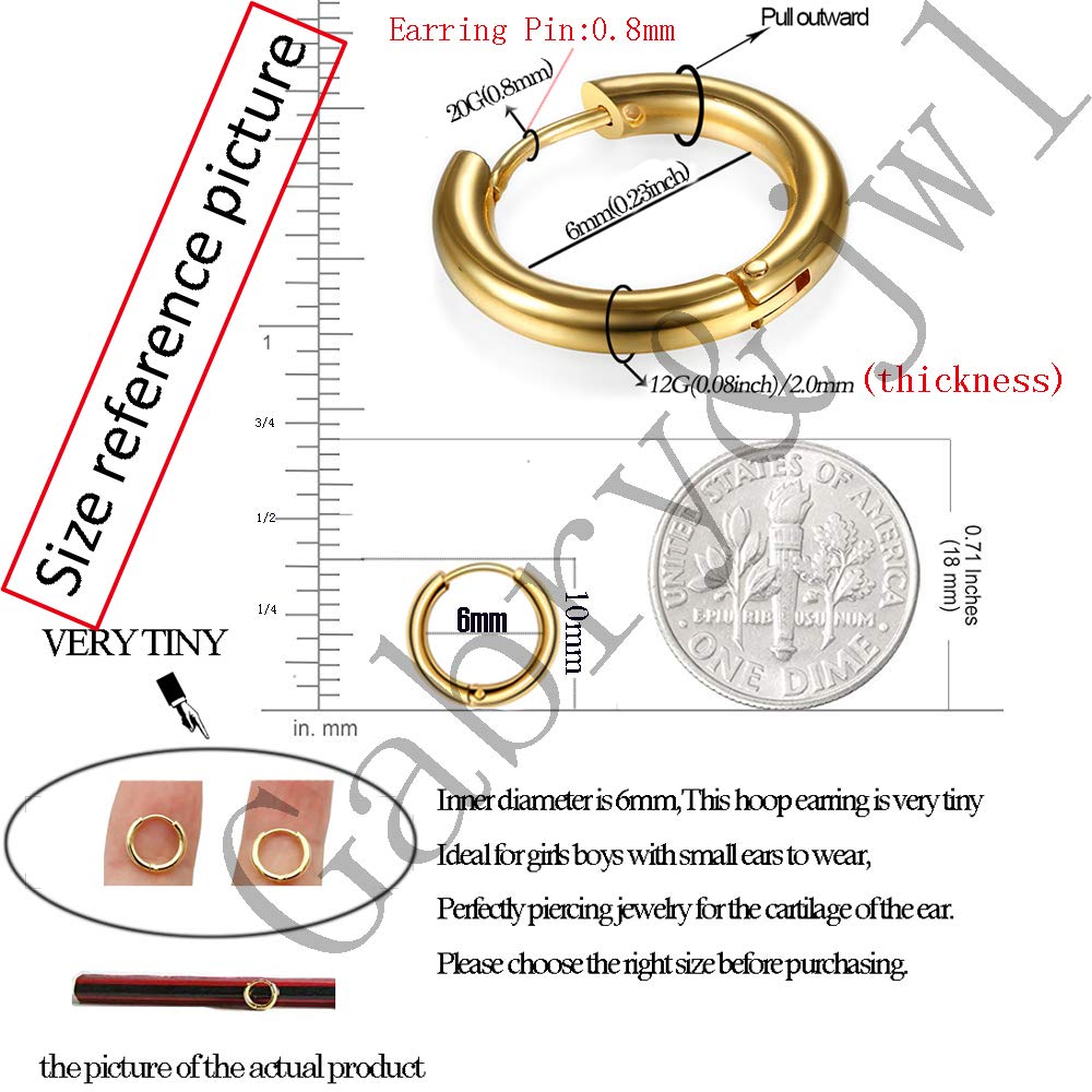 316L Surgical Stainless Steel Huggie Hoop Earrings 6mm Rose Gold Hypoallergenic Earrings Hoop Cartilage Helix Lobes Hinged Sleeper Earrings For Men Women(A04:6mm Rose Gold(THK 2.0mm))