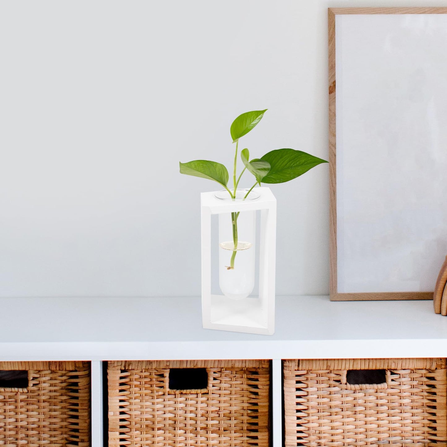 minkissy Test Tube Glass Vase with White Wooden Rack Small Hydroponic Plant Holder for Indoor Wall Garden Terrarium Home Décor