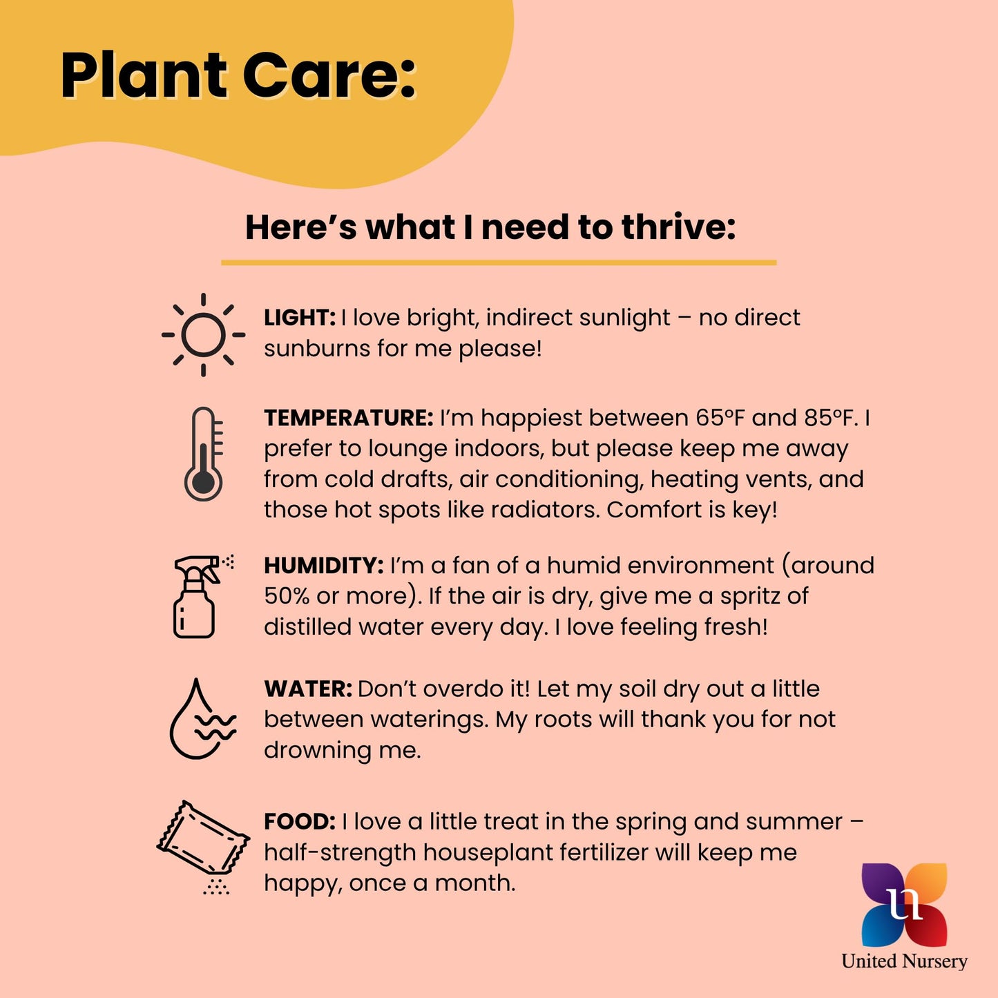 United Nursery ZZ Plant Live 10–14 inches Tall in 6 inch Plant Pot, Easy Care Low Light Indoor House Plant for Home and Office Decor