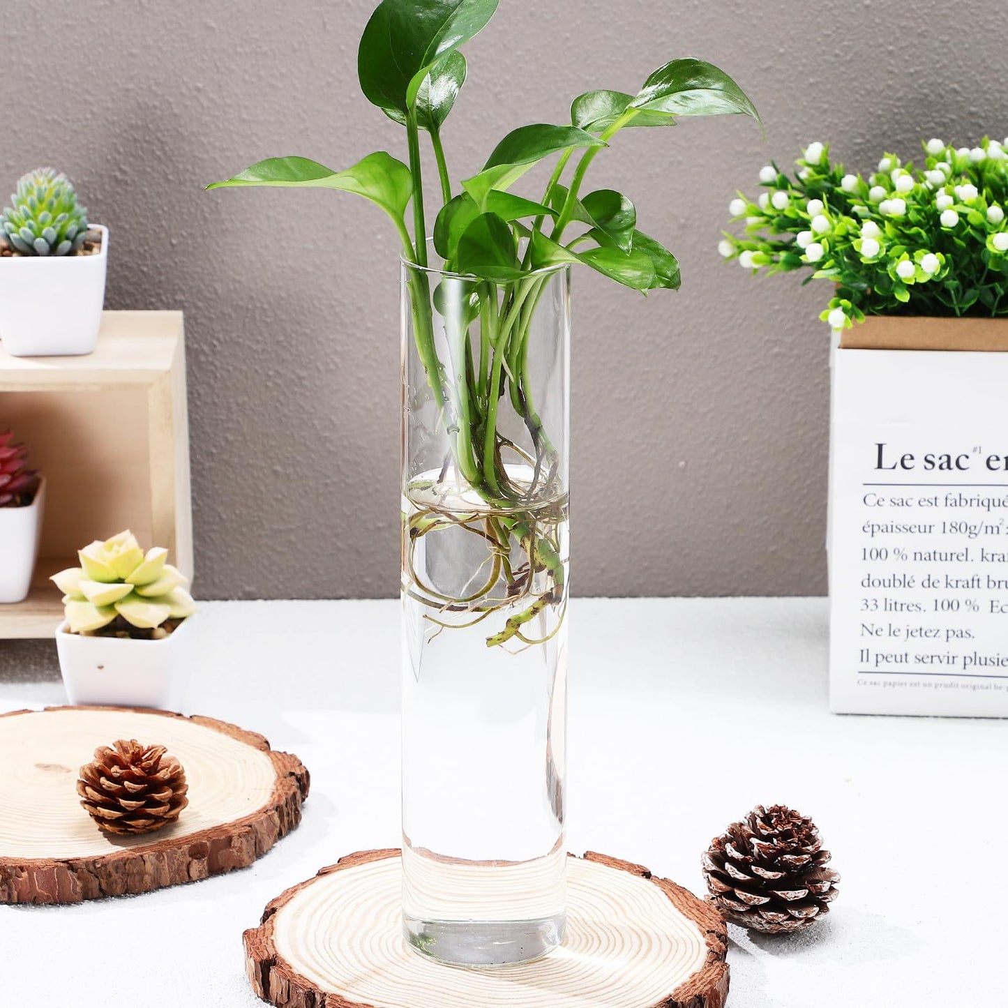 GETAJGHSD Cylinder Glass Wall Vase Set for Hydroponic Plants, 2pcs Hanging Glass Containers, Modern Wall Mounted Flower Vases for Indoor Terrarium Decor