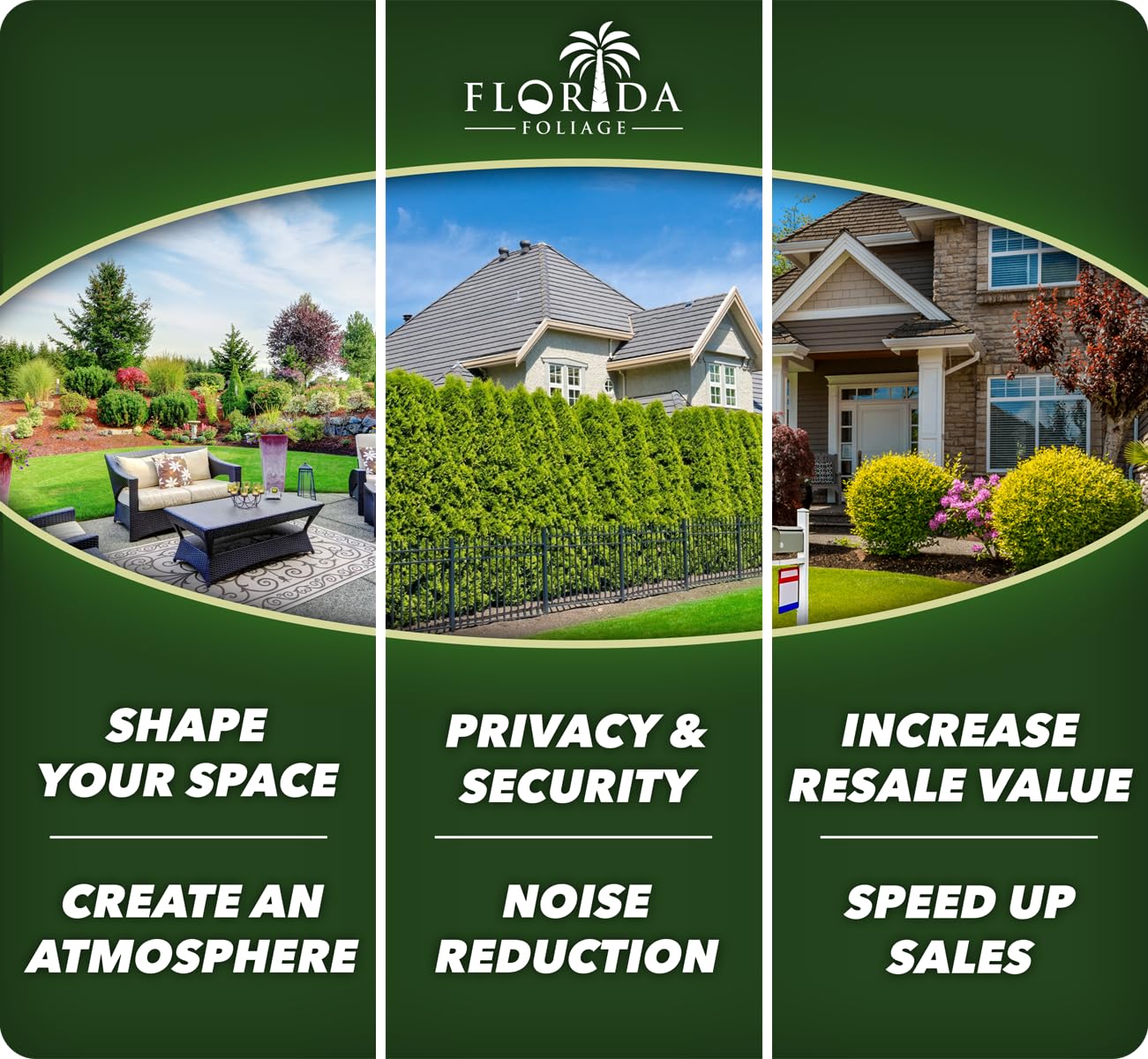 Nandina Domestica | 2 Extra Large Trade 3 Gallon Plants | Heavenly Bamboo | Vibrant Year-Round Color | Low Maintenance
