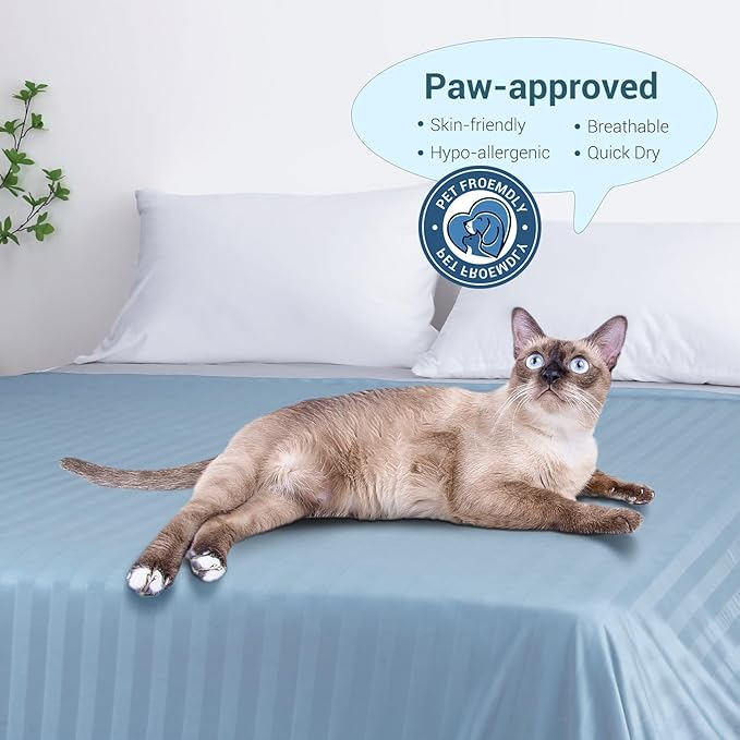 Elegear Revolutionary Cooling Throw Blanket, Absorbs Heat to Keep Body Cool for Night Sweats, Double Sided Arc-Chill3.0 Cooling Fiber Q-Max>0.5, Lightweight Summer Cold Blankets for Sleeping 51“ x 67”