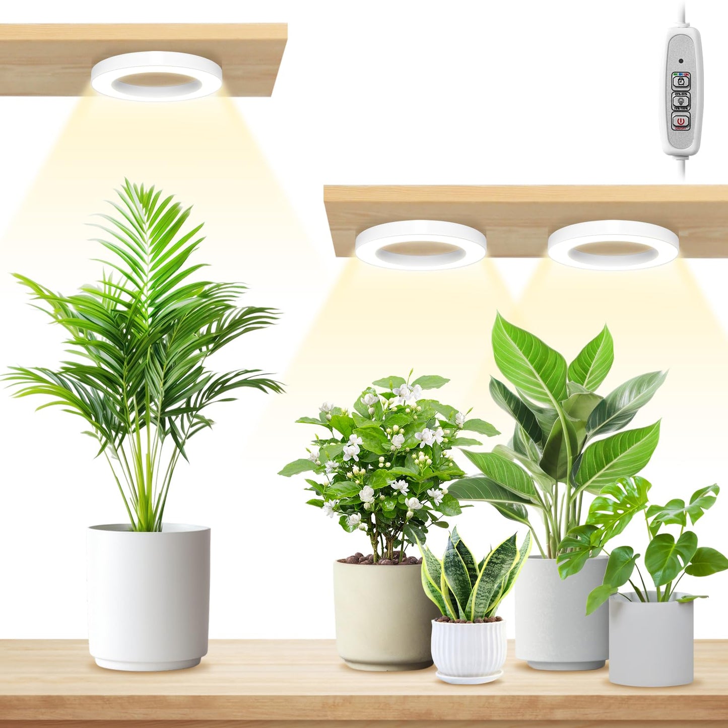 LORDEM 6.3” Ceiling Grow Lamp for Indoor Plants, 216 LEDs Full Spectrum Halo Plant Light, Under Cabinet Grow Lights with 4/8/12H Auto Timer, 3 Switch Modes, 4 Dimmable Brightness Levels, Tri Head