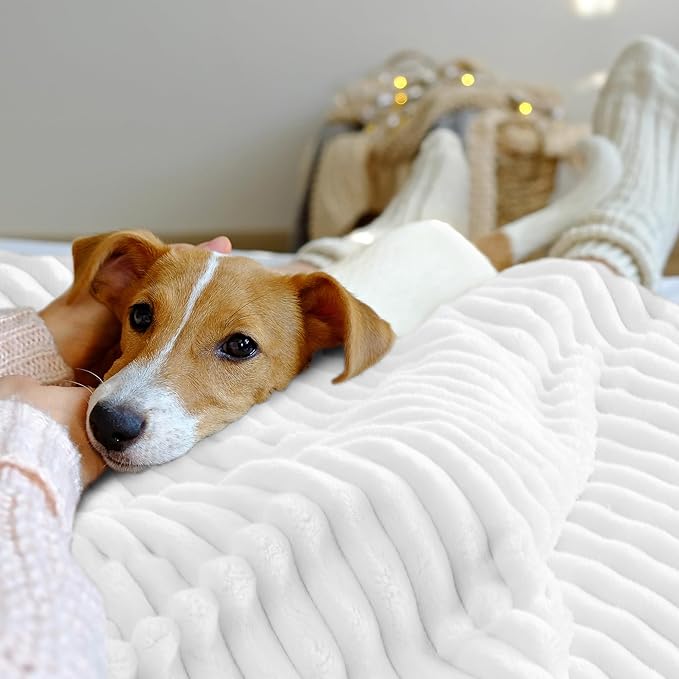INFIIXSO Sherpa Fleece Queen Size Blanket - Super Soft & Warm Striped Fleece, Cozy Plush Fluffy Large Bed Blanket All Season Use (Off White, 90x90 Inches)