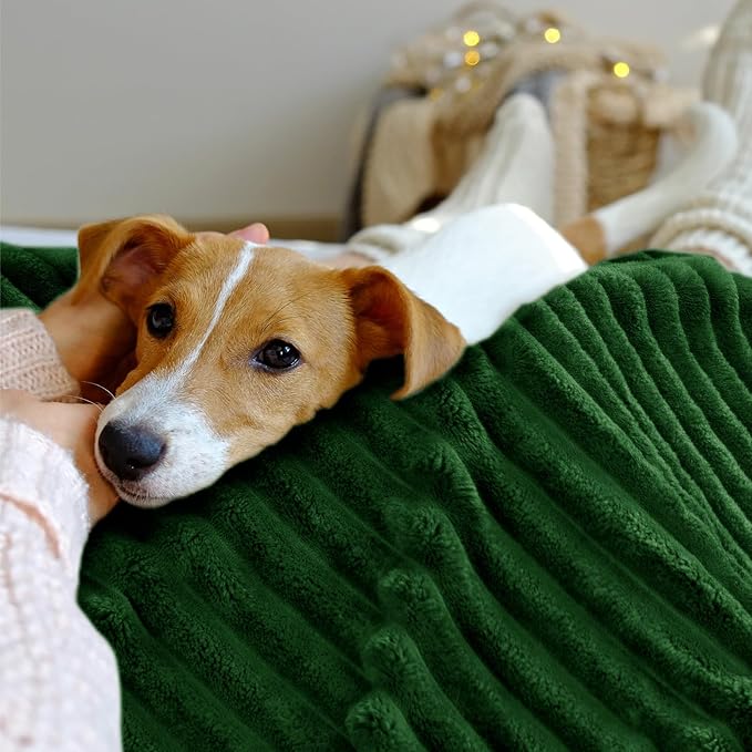 INFIIXSO Sherpa Fleece King Size Blanket - Super Soft & Warm Striped Fleece, Cozy Plush Fluffy Large Bed Blanket All Season Use (Dark Green, 104x90 Inches)