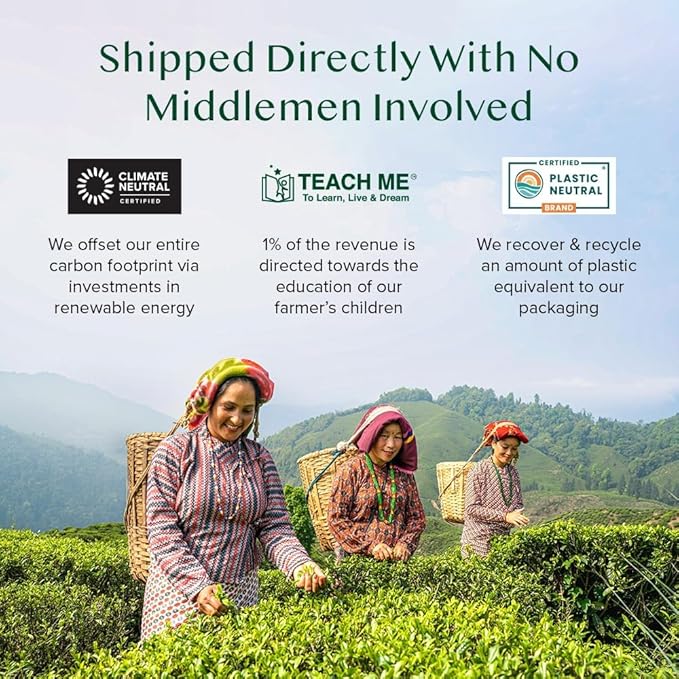 VAHDAM, High Mountain Oolong Tea Bags (100 Count) Non GMO, Gluten Free | High Grown Oolong Tea Leaves - Light & Floral | Resealable Ziplock Pouch