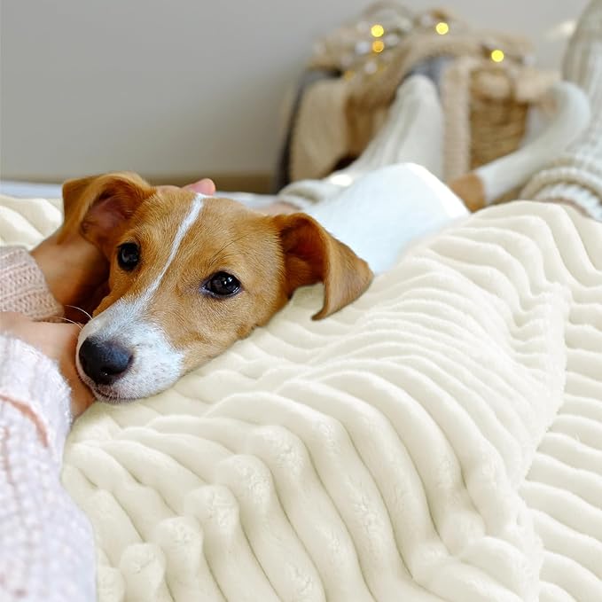 INFIIXSO Sherpa Throw Blanket for Couch - Super Soft & Warm Striped Fleece Blanket, Cozy Plush Fluffy Blanket All Season Use (Cream, 50x60 Inches)