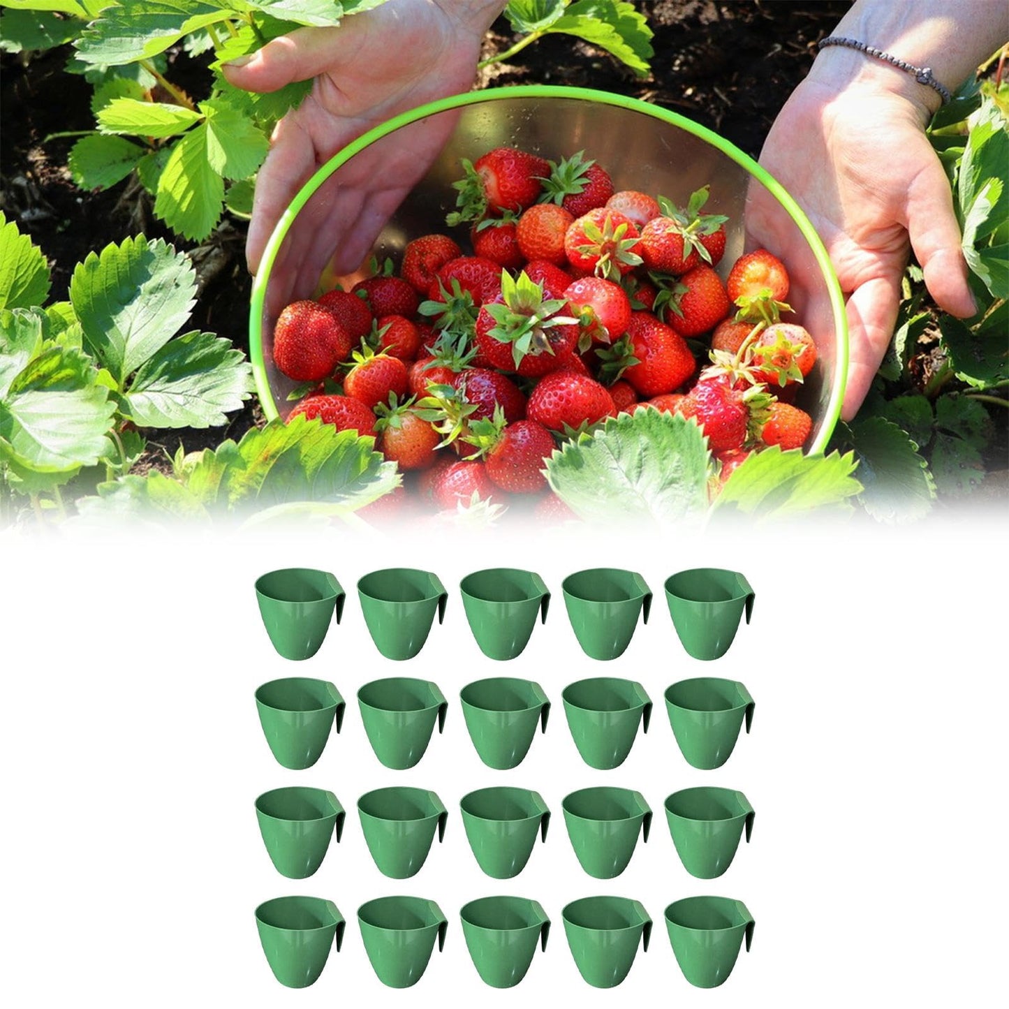 Qianly 20 Pieces Strawberry Propagation Cup Seedling Pot Versatile for Transplanting Tool Accessories Side Hanging, Size L