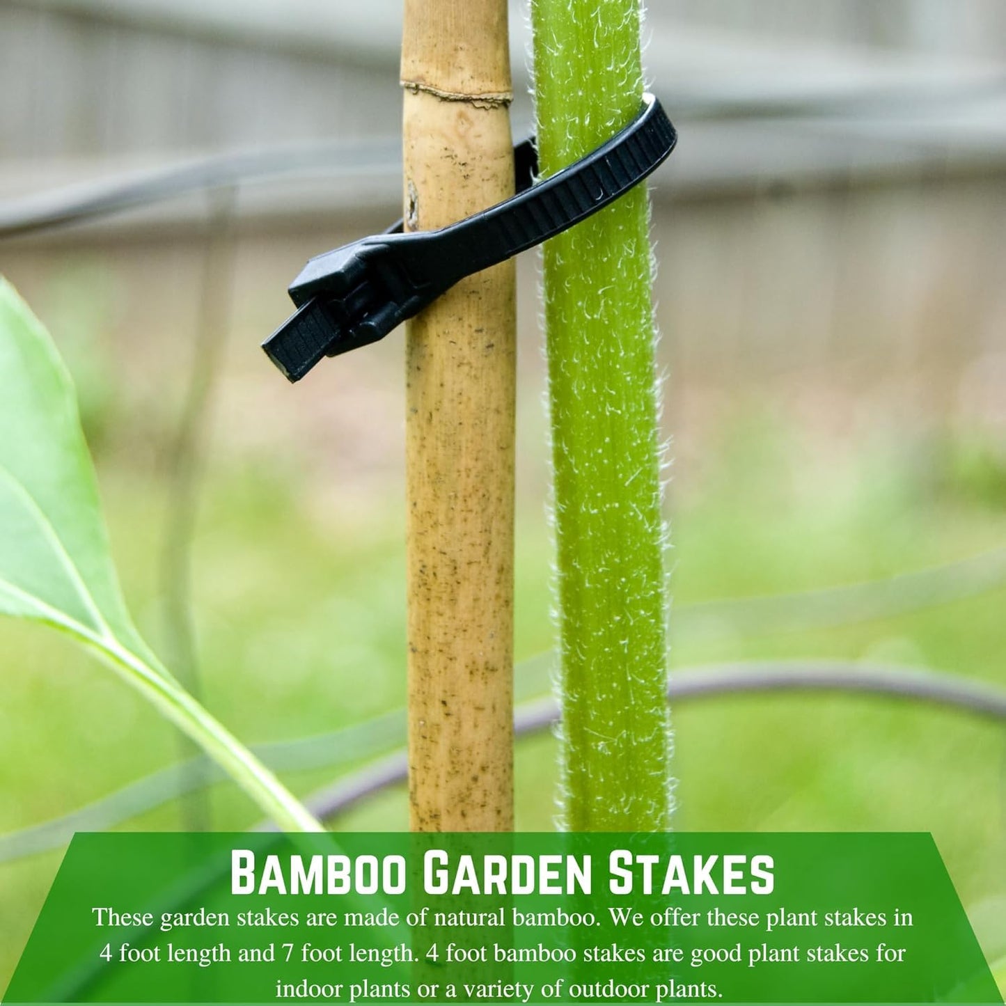 Farm Plastic Supply - Bamboo Garden Stakes - Bambo Sticks, Bamboo Plant Stakes for Outdoor Plants, Plant Support Stakes for Indoor Plants (4 Foot, 10)