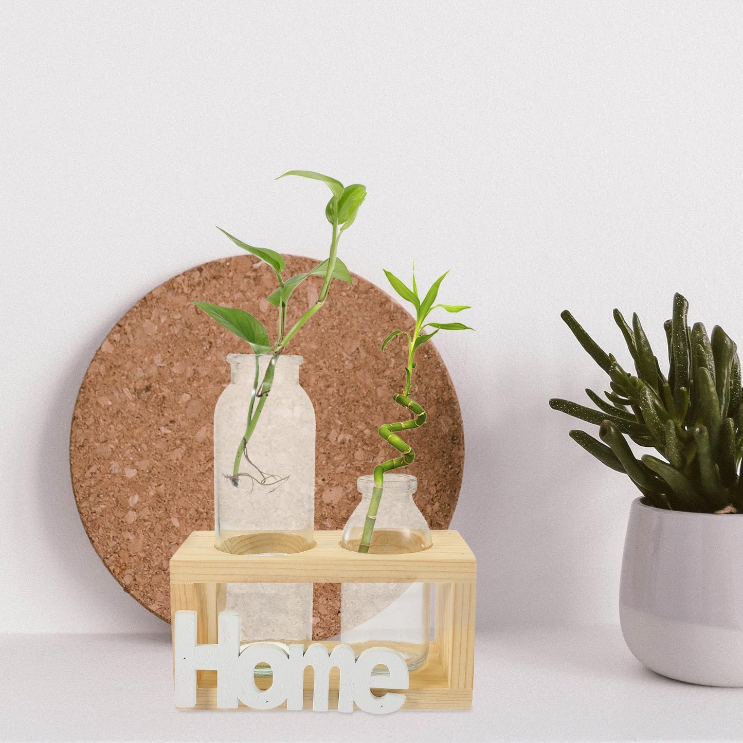 NUOBESTY Hydroponic Glass Plant Vase with Wooden Stand, 2pcs Set Scandinavian Style Glass Terrarium for Home Décor and Desktop Flower Arrangement